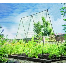 18272 - pea & bean frame in-situ